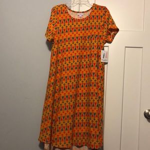 BMWT lularoe Carly